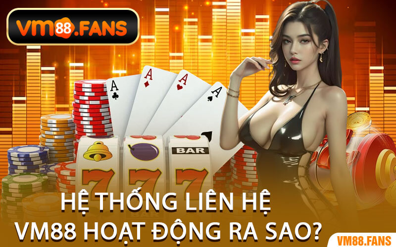 Hệ Thống Liên Hệ VM88 Hoạt Động Ra Sao?